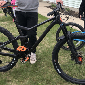 2020 SCOTT Genius 950 size Large Black