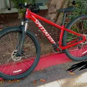 2020 Specialized Rockhopper 29 Red