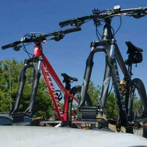 2020 Specialized Rockhopper 29 Red