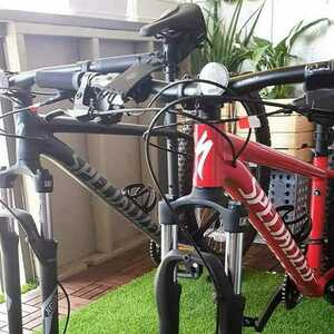 2020 Specialized Rockhopper 29 Red