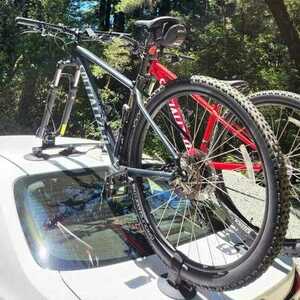 2020 Specialized Rockhopper 29 Red