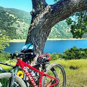 2020 Specialized Rockhopper 29 Red
