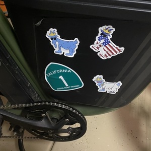 Rad Power Bikes Rad runner Green