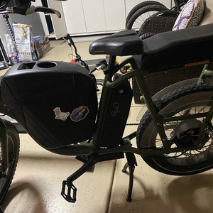 Rad Power Bikes Rad runner Green