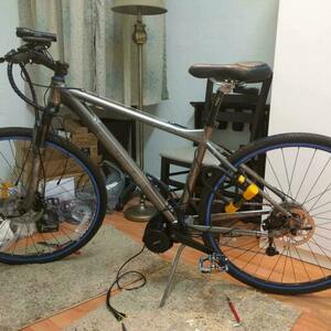 Gary Fisher Kaitai Green