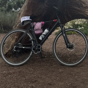 2023 DTLA bikes RAMBAM COMMUTER, w/forest green handb... Black