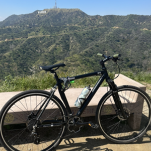 2023 DTLA bikes RAMBAM COMMUTER, w/forest green handb... Black