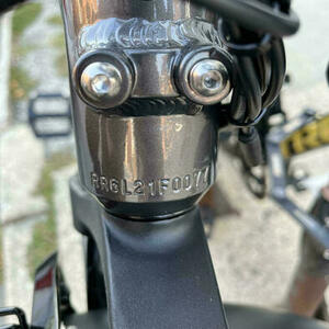 2023 Rad Power Bikes Rad Rover 6 Plus Silver, gray or bare metal