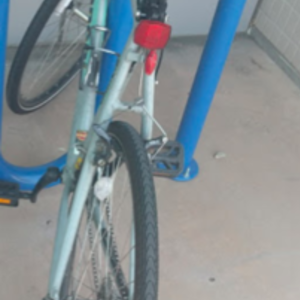 Bianchi Silver or Gray