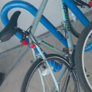 Bianchi Silver or Gray