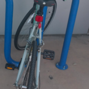 Bianchi Silver or Gray