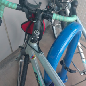 Bianchi Silver or Gray