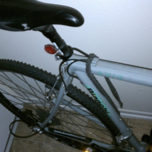 Bianchi Silver or Gray