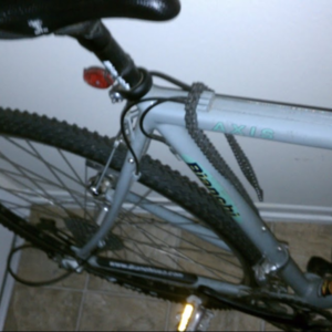 Bianchi Silver or Gray
