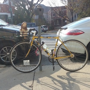 2011 Windsor Hour Yellow or Gold and Stickers tape or other cover-up