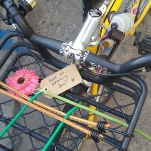 2011 Windsor Hour Yellow or Gold and Stickers tape or other cover-up