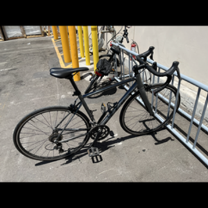 2021 Vitus Claris Silver, gray or bare metal