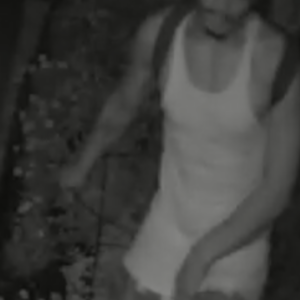 2023 Trek FX+2 Stagger Teal