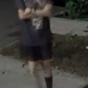 2023 Trek FX+2 Stagger Teal