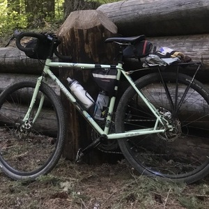 2017 Surly Green