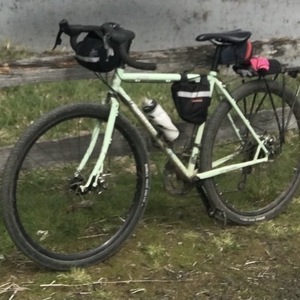 2017 Surly Green