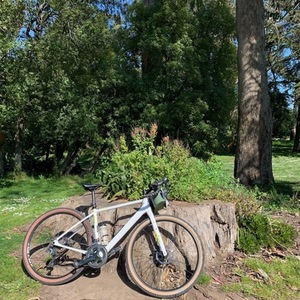 2019 Salsa Warroad Carbon Tiagra 650 White