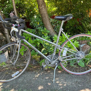 Schwinn Le tour luxe Silver, gray or bare metal