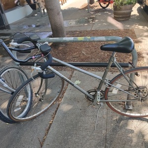 Schwinn Le tour luxe Silver, gray or bare metal