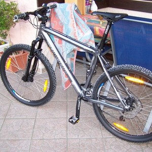 2006 Canyon bicycles Silver or Gray