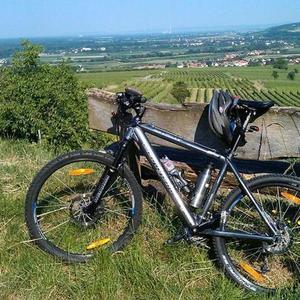 2006 Canyon bicycles Silver or Gray