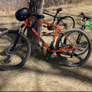 2019 Giant Talon Orange and Black