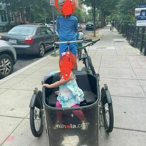 2014 Nihola Family 2 tricycle Black