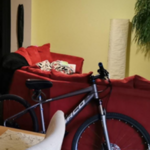 2013 Norco Bikes XFR 3 Silver, gray or bare metal
