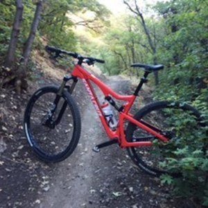 2016 Santa Cruz Tall boy 2 Carbon C Red