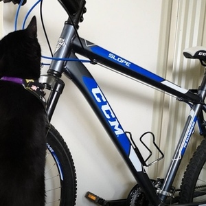 2018 CCM CCM Slope Men's Hardtail Mountain Bik... Blue and Silver, gray or bare metal