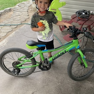 Giant Green, Blue, and Black