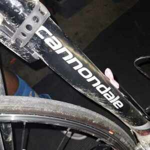 2019 Cannondale Synapse Red