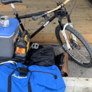 2014 Ragley Big Wig Black