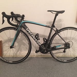 2014 Specialized Amira Silver or Gray and Green