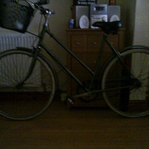 1973 Raleigh Hercules Ladies Green