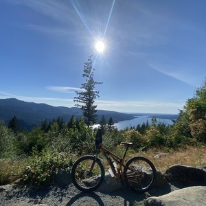 2019 Santa Cruz Tallboy Orange