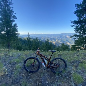 2019 Santa Cruz Tallboy Orange