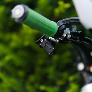 2019 Nicolai/Geometron G1 Silver, gray or bare metal