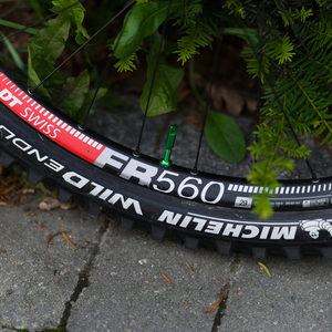 2019 Nicolai/Geometron G1 Silver, gray or bare metal