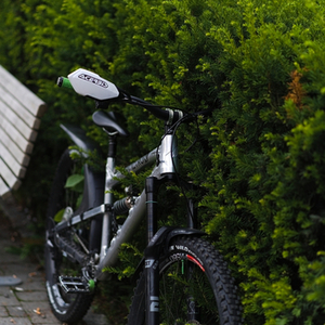 2019 Nicolai/Geometron G1 Silver, gray or bare metal