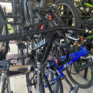 2021 Giant Stance medium Purple