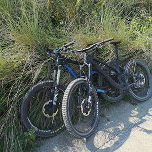 2020 Canyon bicycles Torque CF 8.0 Black