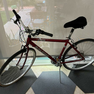 Raleigh C200 CROSS SPORT Red