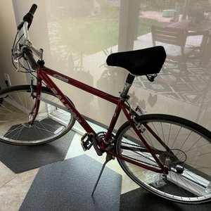 Raleigh C200 CROSS SPORT Red