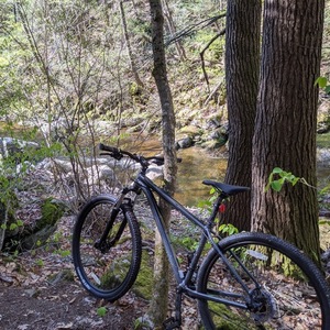 2023 Cannondale trail 8 Black